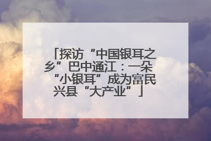 探访“中国银耳之乡”巴中通江：一朵“小银耳”成为富民兴县“大产业”